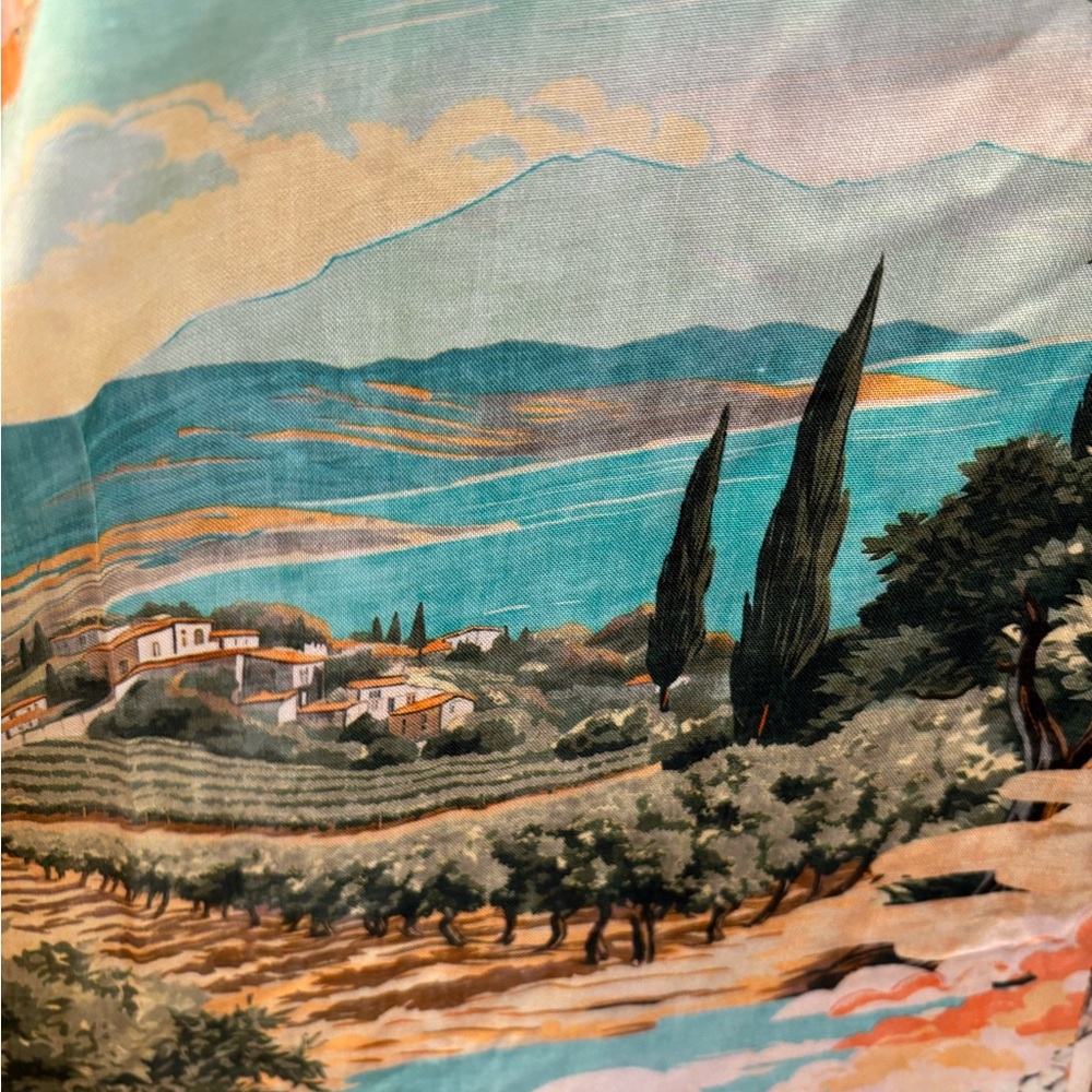 NWT Label of Love Isadora Italian scenic countryside dress - M - Picture 6 of 16